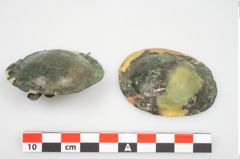 Foto von Bronzetutulusscheibenfibel (NHMW-PRAE-026267)